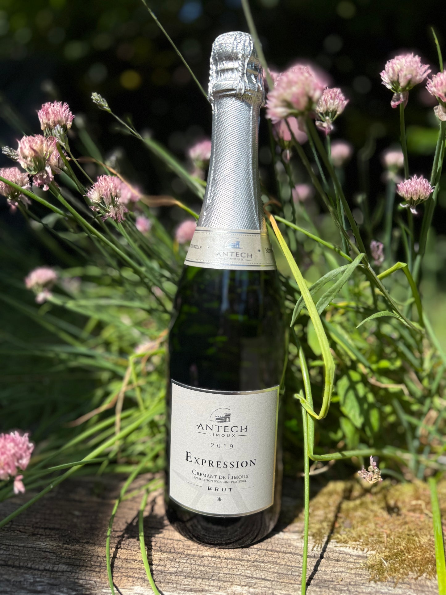 Antech Expression Crémant de Limoux Brut 2019 natural sparkling wine bottle outdoors with wildflowers — organic French bubbles from Taste Union.