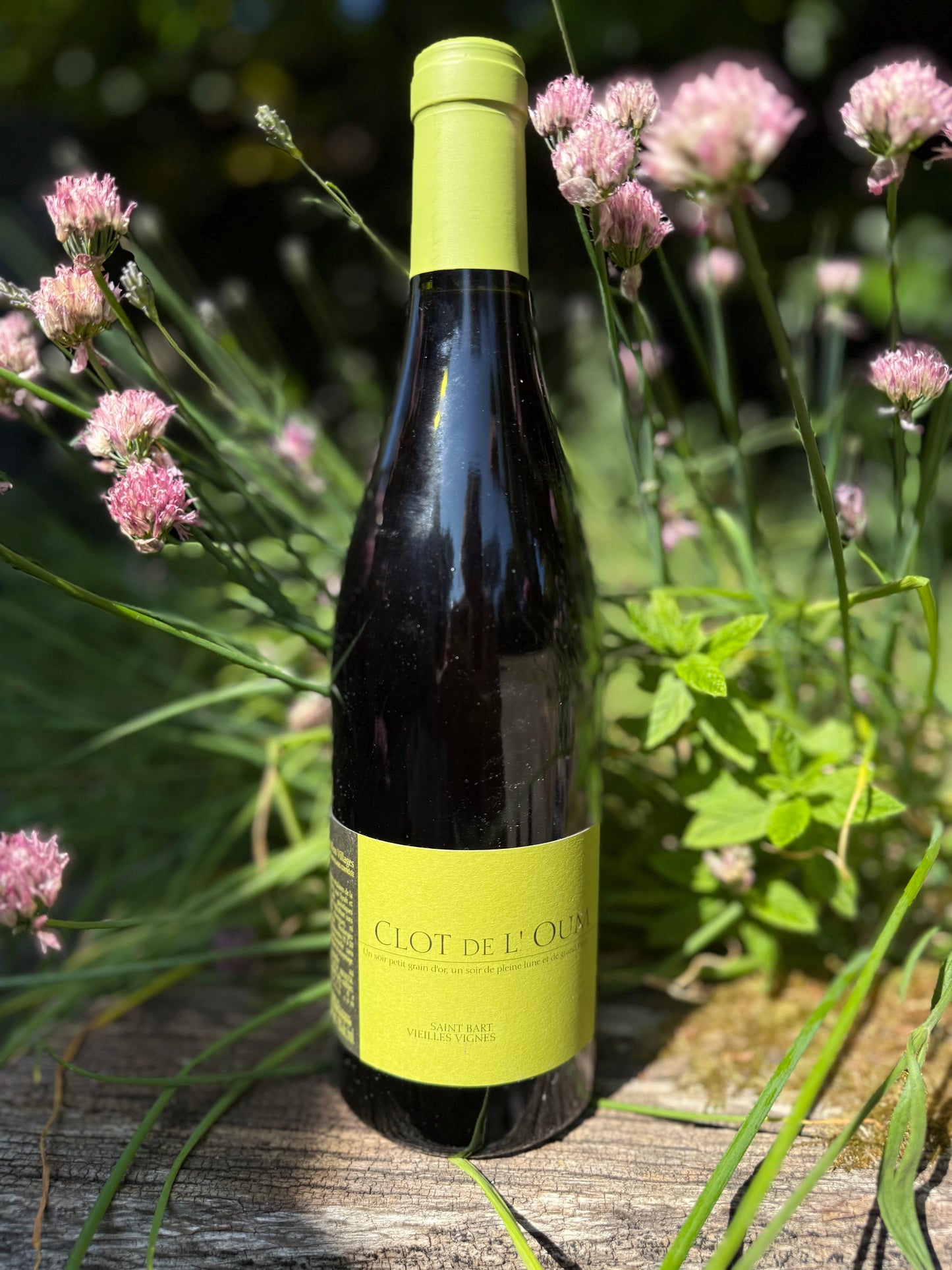 Clot de l’Oum Saint Barts natural red wine from old vines — organic full-bodied French wine with green label in garden setting.