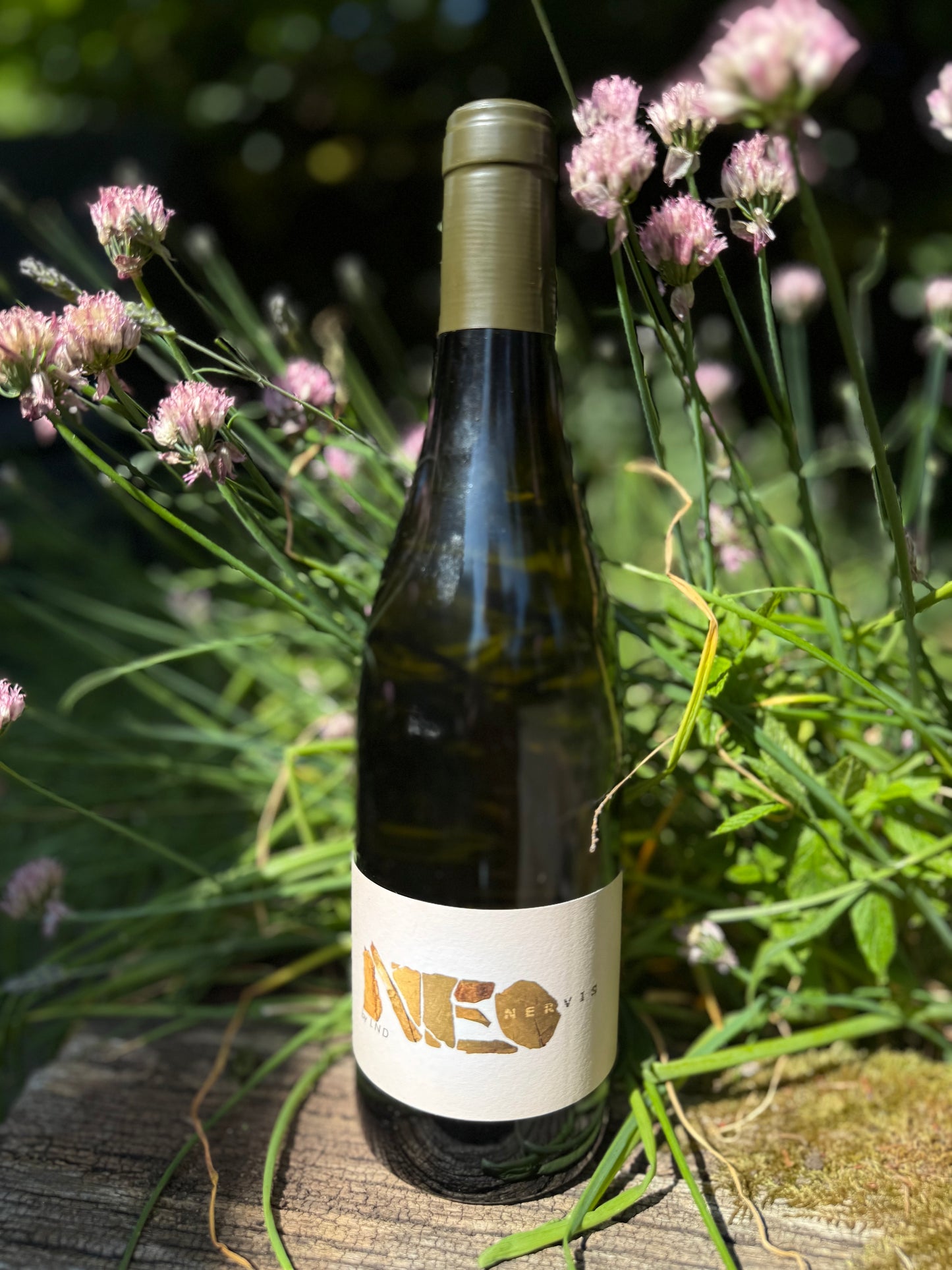 Neo Nervis natural white wine from Southern France with minimal intervention — fresh, clean, and organic, photographed in herb garden.