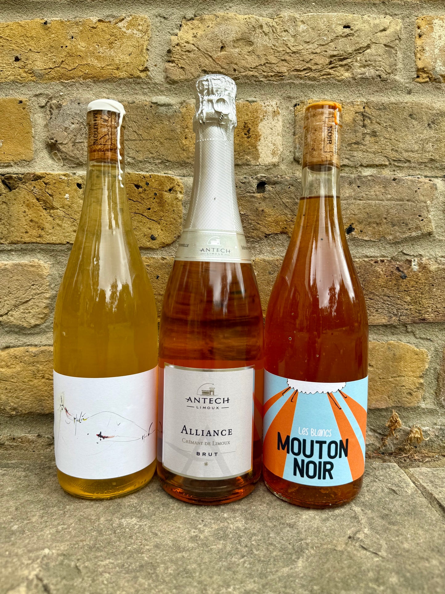 Three bottles of natural summer wine from Taste Union – white (Médee by Mouton Noir), rosé sparkling (Antech Alliance), and orange wine (Les Blancs by Mouton Noir) – lined up against a rustic brick wall.
