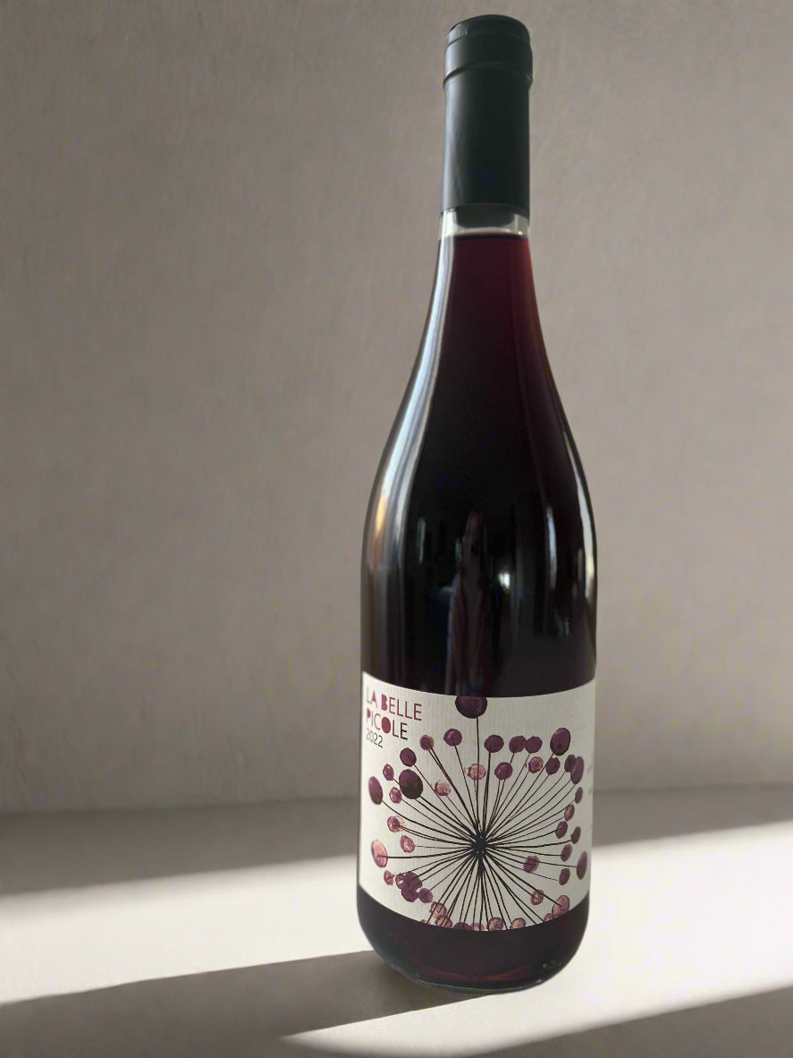 A bottle of La Belle Picole 2022 red wine, featuring a minimalist label design with abstract dandelion-like art in shades of plum and purple, set on a white background. The bottle stands upright on a plain white surface, captured in soft lighting.