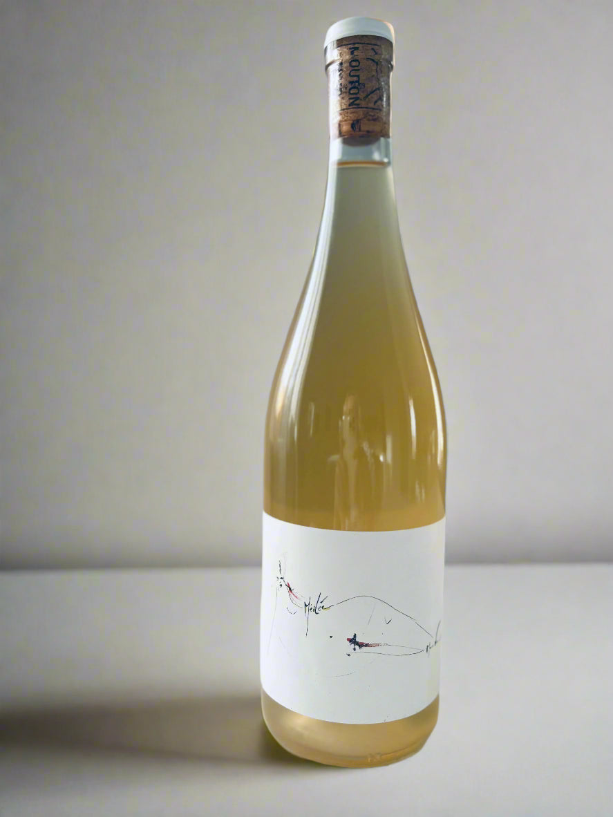 Bottle of Mouton Noir Médée White Wine 2022 featuring a minimalist label with abstract art, displayed on a white surface with a neutral background.