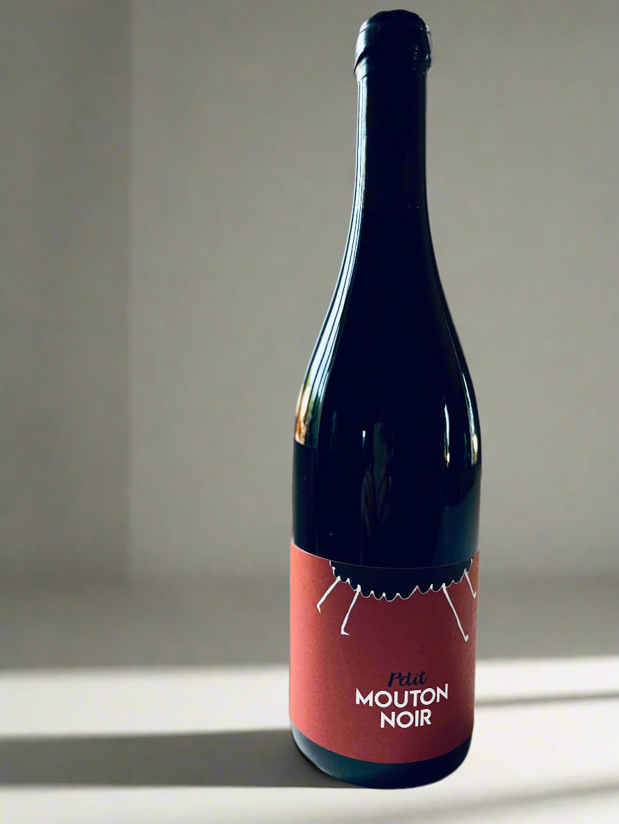 A high-quality image of a Mouton Noir Petit Mouton Noir wine bottle, featuring a deep red label with white text and an elegant design. The bottle is placed on a neutral surface with soft lighting, emphasising its premium appearance.