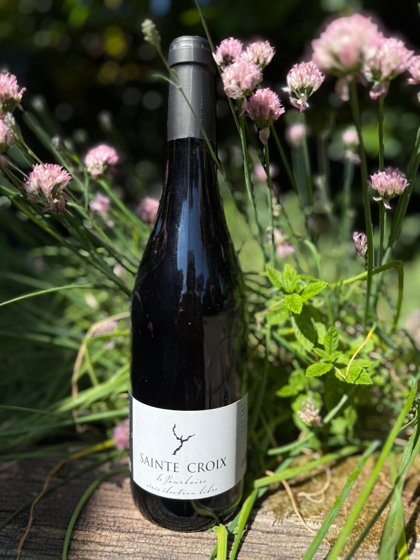 Sainte Croix Pourboire light natural red wine, organic and chillable — photographed outdoors with wild herbs for Taste Union.