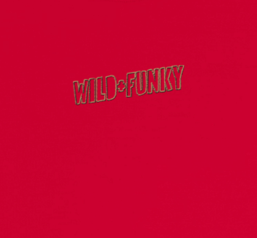 Close-up of ‘Wild + Funky’ embroidered text on red sweatshirt, gold stitching detail.